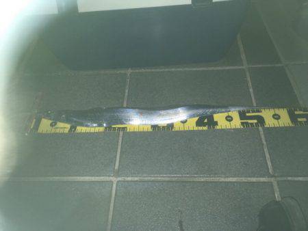 久々の夕マヅメ