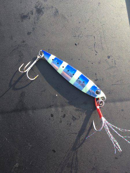 太刀魚を求めて