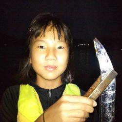 カマス不発もタチウオ