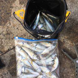 なんとか剣先一杯