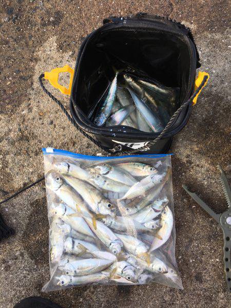 なんとか剣先一杯