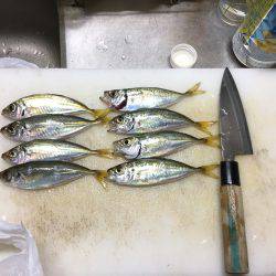 エブリデイアジング