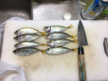 エブリデイアジング