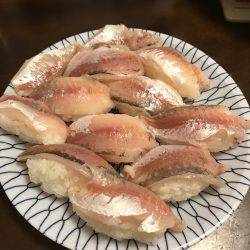 今日もサビキ釣り