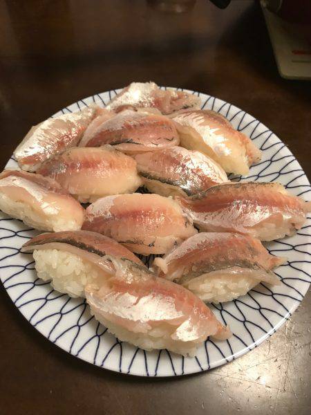 今日もサビキ釣り