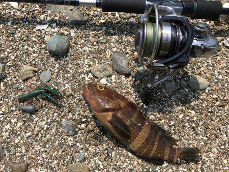 ロックンフィッシュ٩( ‘ω’ )و