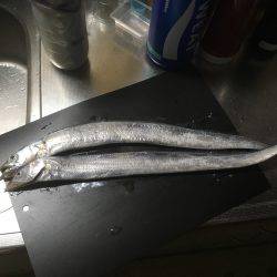 丑三つ時から天の声（笑）