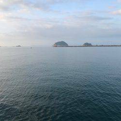 タチウオとカマス