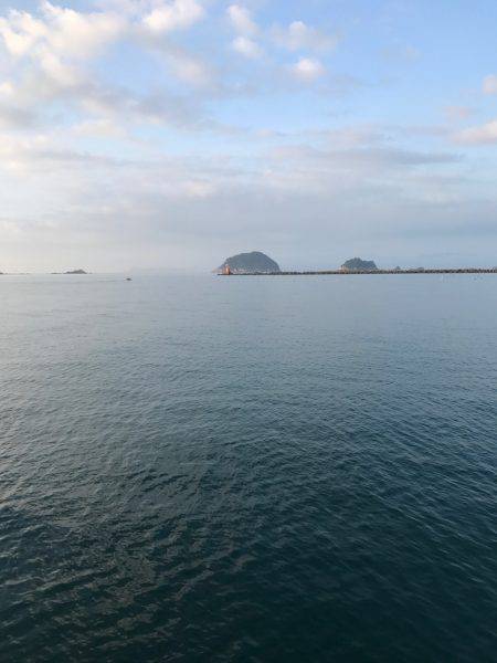 タチウオとカマス