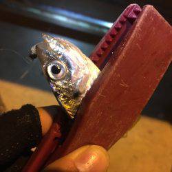 激ムズアジング