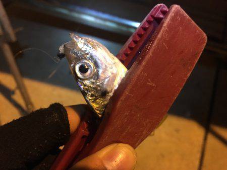 激ムズアジング