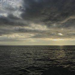 カマスゲーム②