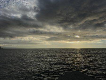 カマスゲーム②