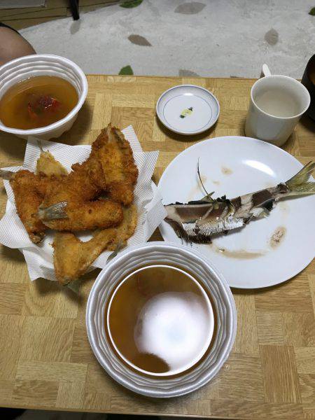 西舞鶴で投げ釣り