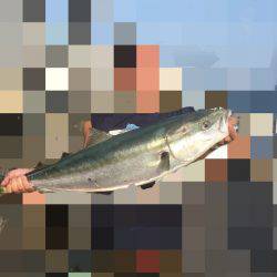 ギリギリブリサイズ⁉️