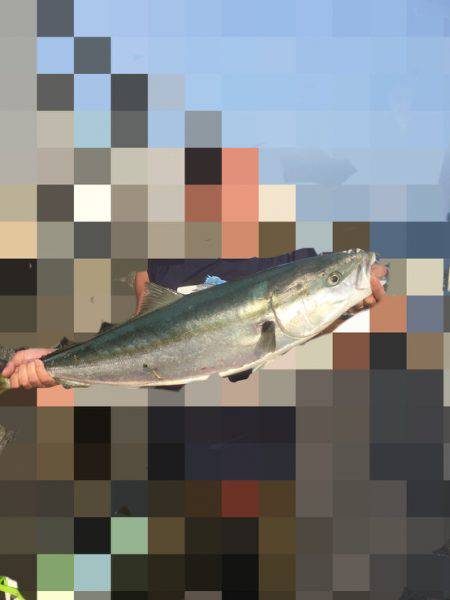 ギリギリブリサイズ⁉️