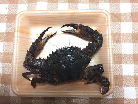 ロックフィッシュ