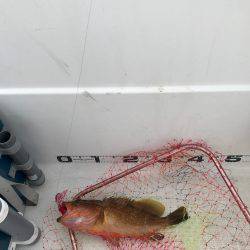 マイボートタイラバ