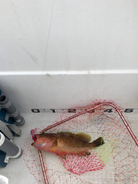 マイボートタイラバ