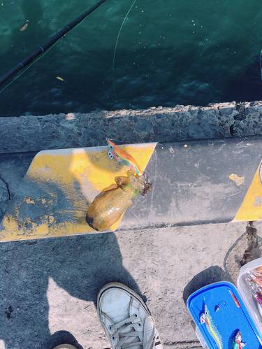 エギングとライトジギング