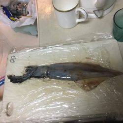 ゲキ渋です…..