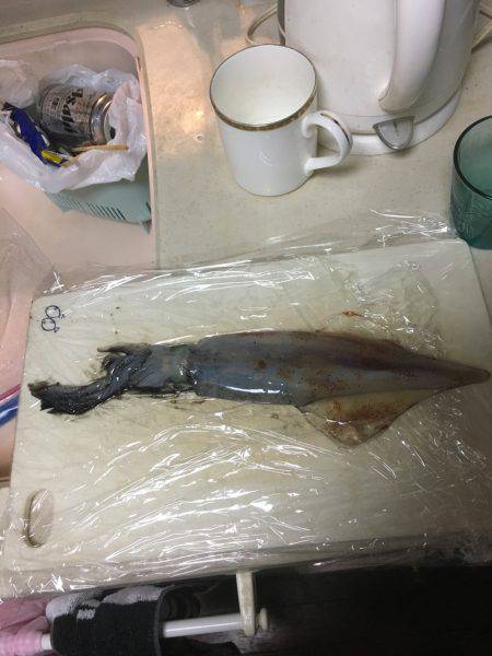 ゲキ渋です…..