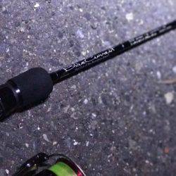 久しぶりに鯵と出会えた…