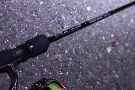 久しぶりに鯵と出会えた…