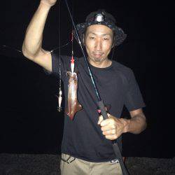 ケンサキイカゲーム