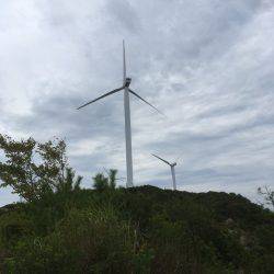 スッテで楽しむ！