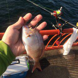 残炎惨敗からのウキスポン‼︎