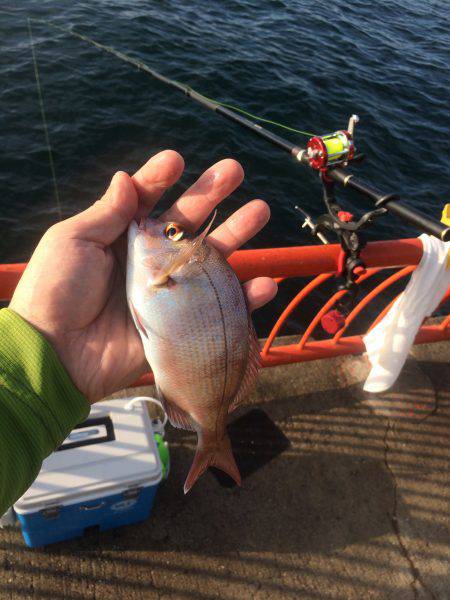 残炎惨敗からのウキスポン‼︎