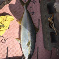 マイボートでタイラバ、ジギング