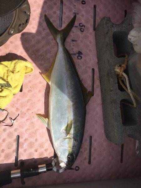 マイボートでタイラバ、ジギング