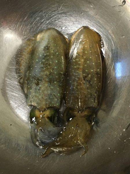 ライトジギングのちGTR