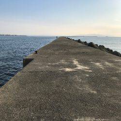 津田沖一文字で10cmアジ多数釣れました。