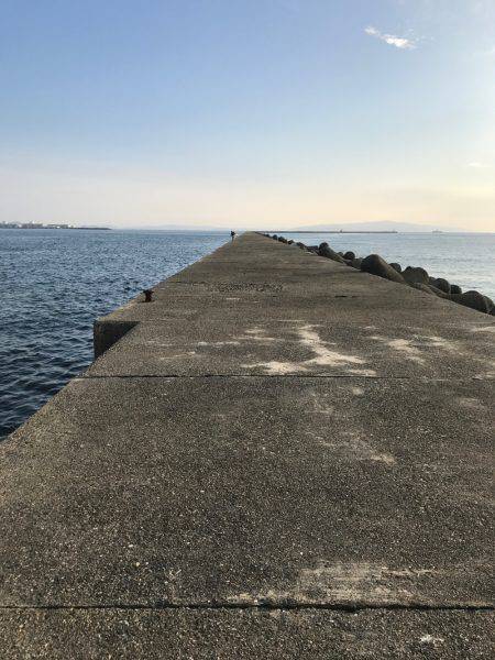 津田沖一文字で10cmアジ多数釣れました。