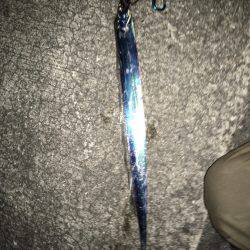 ショアジギ 3目？