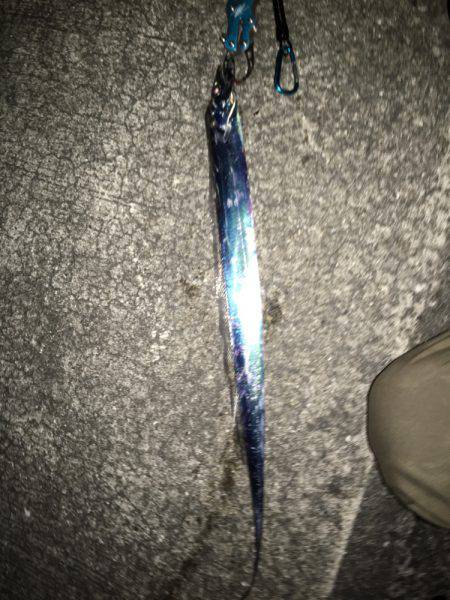 ショアジギ 3目？