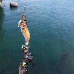 日中ライトゲーム