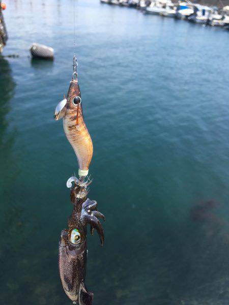 日中ライトゲーム