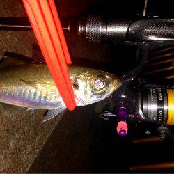 集会お開きのお知らせ