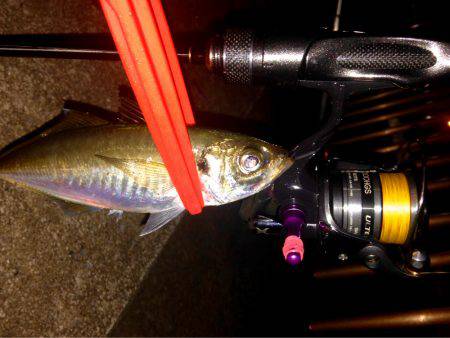 集会お開きのお知らせ