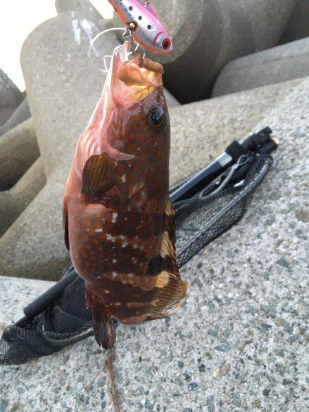 ショアジギング