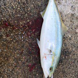 親切な方々のおかげで