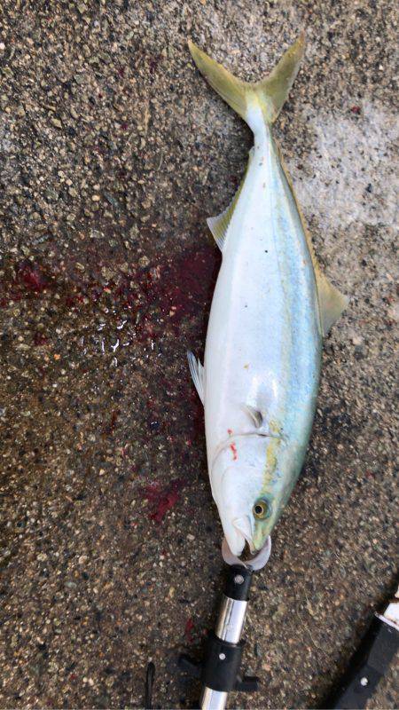 親切な方々のおかげで