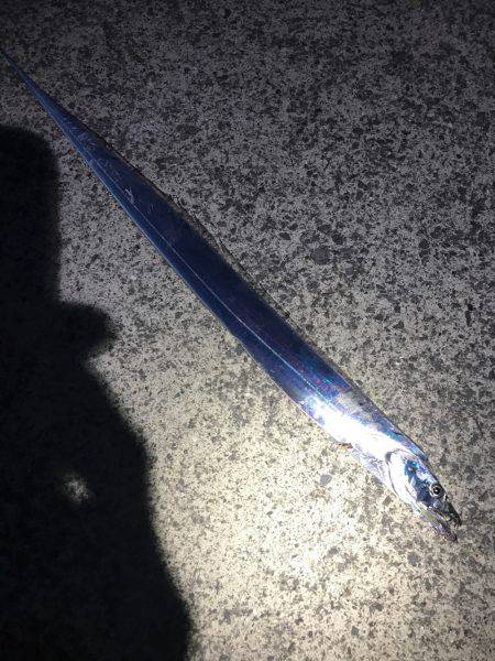 今シーズン初刀狩り