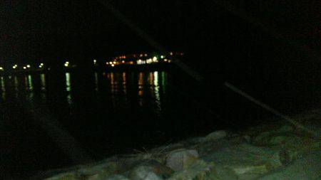 片添にて夜釣り