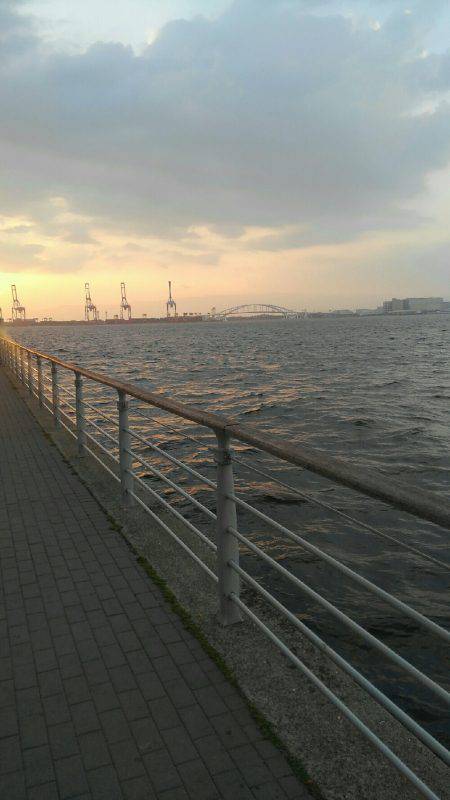 コスモにてアジ確認