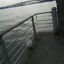 コスモスクエアにて